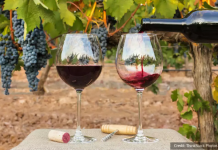 Eat, pray, love: 10 honeymoon destinations that are perfect for FOODIE couples