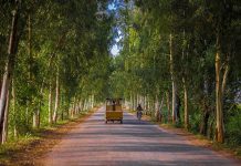 India Before you turn 35, visit these 7 wonderful and beautiful places in India India Before you turn 35, visit these 7 wonderful and beautiful places in India